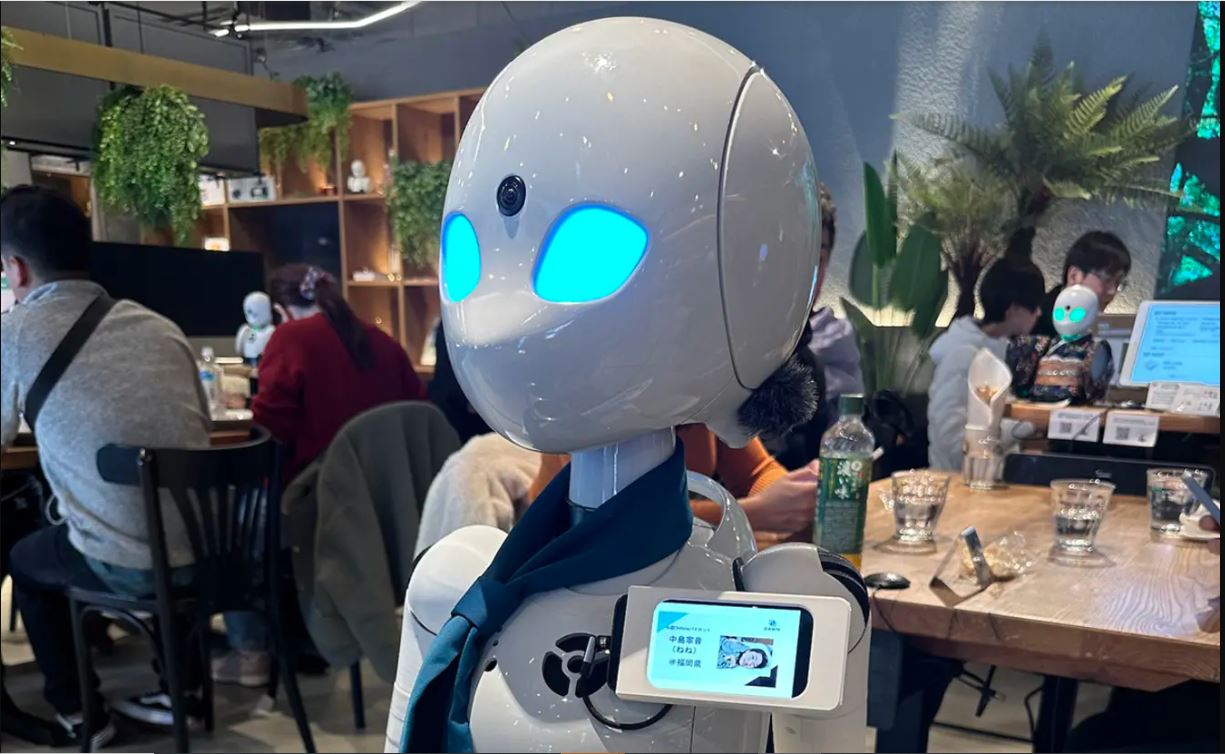 robot cafe